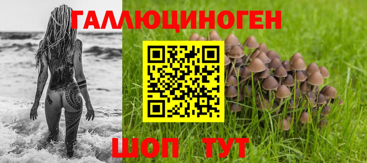 Галлюциногенные грибы мухоморы Новодвинск